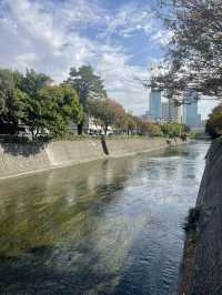 A Walk Along the River in Taichung 🌿🚶‍♂️