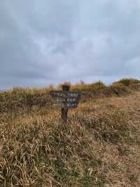 Must Go Daikanbo Lookout