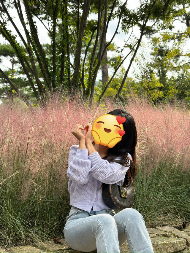 야외데이트 즐기기 좋은 곳!!