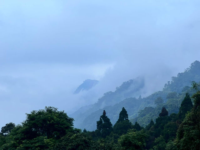 溪頭自然生態風景區