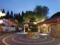Swooping Over the Sea: Ocean Park's Best Moments