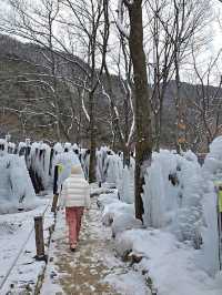 눈맞으며 힐링하기 좋은 대전여행지❄️