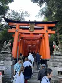 🇯🇵 Kyoto’s Beauty: Rising Sun Above the Crowds