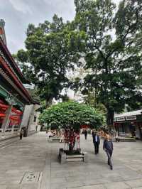 The Temple of the Six Banyan Trees