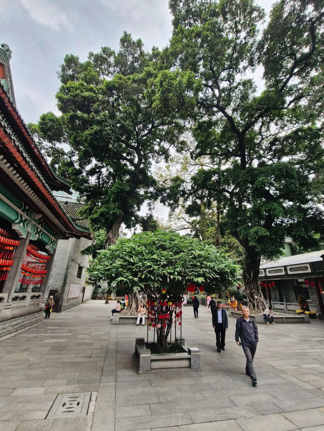 The Temple of the Six Banyan Trees