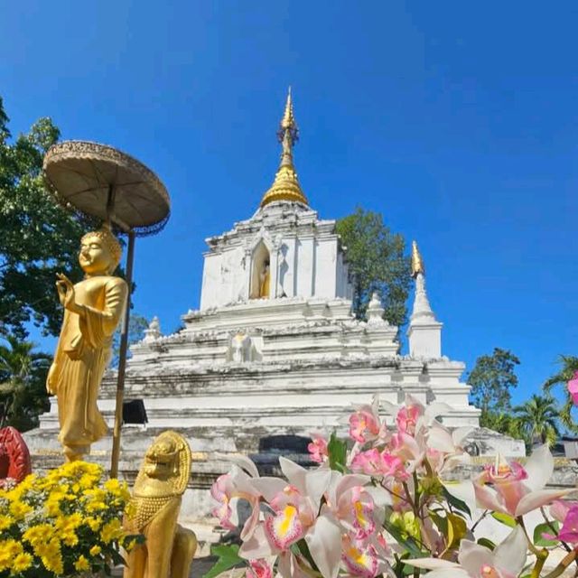 เที่ยวโบราณสถานเวียงกุมกาม
