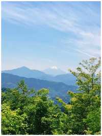 【東京・八王子】東京で大自然を楽しめるスポット＊高尾山＊