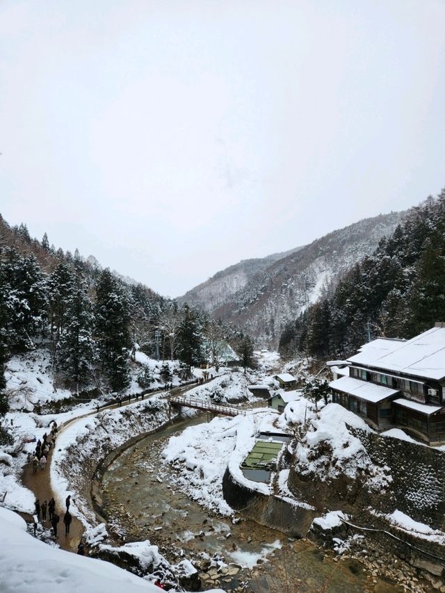 일본 겨울 여행, 나가노에서 즐기는 특별한 경험