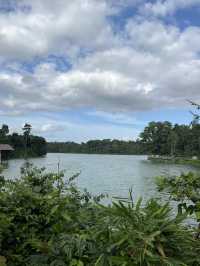 Nature walk with the Wildlife at Mandai