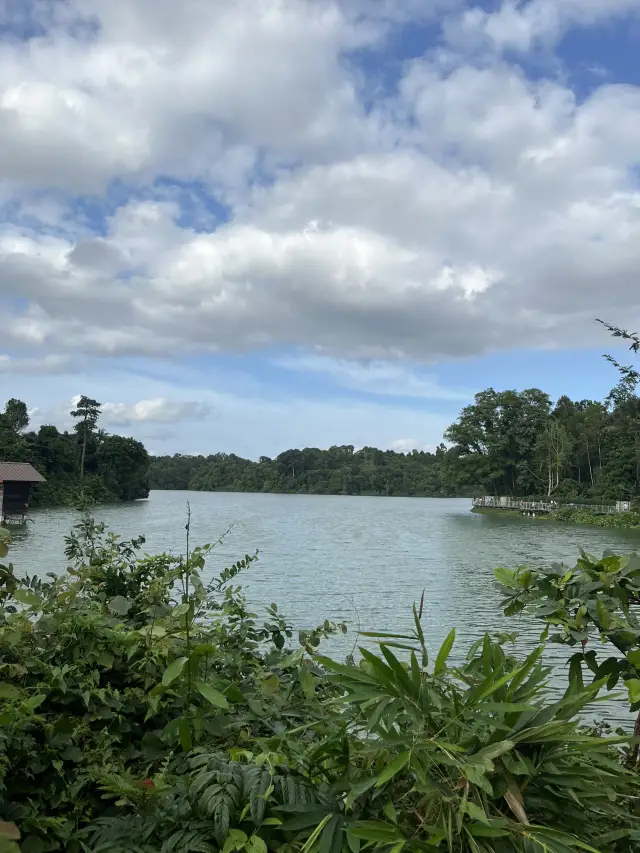 Nature walk with the Wildlife at Mandai