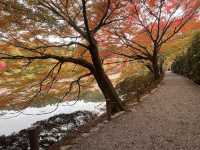 One-Hour Sojourn at Ryoan-ji Temple