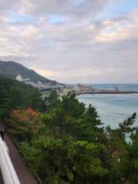 부산 바다 전망이 한눈에 보이는 곳🚊🌊
