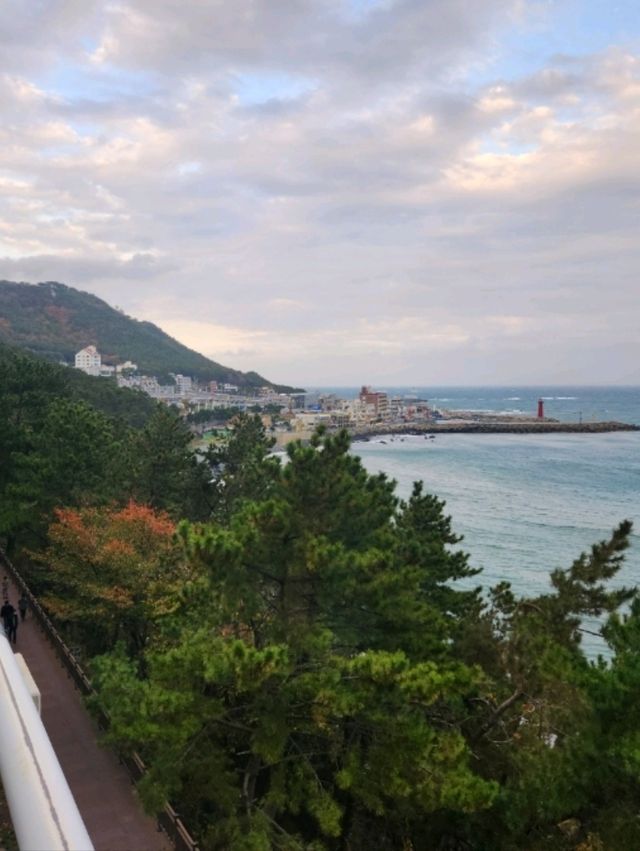 부산 바다 전망이 한눈에 보이는 곳🚊🌊