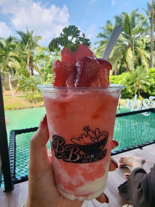 ✨️แนะนำคาเฟ่สลัดปลอดสารพิษ พิกัด รัษฎา🥗
