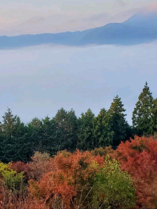 朝焼けと雲海