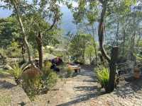 屏東三地門清淨莊園｜半山腰景觀餐廳｜寵物友善咖啡廳