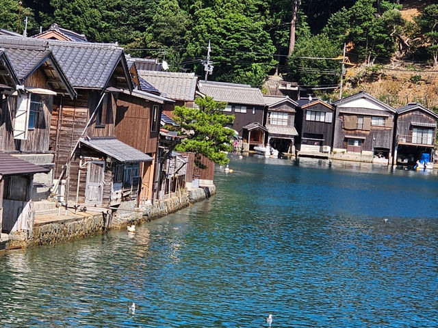 伊根灣的療癒小旅行