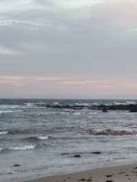 A Day of Adventure: Puffing Billy & Phillip Island