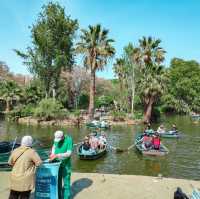 The Green Oasis of Barcelona