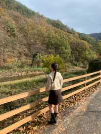 상소동 산림욕장