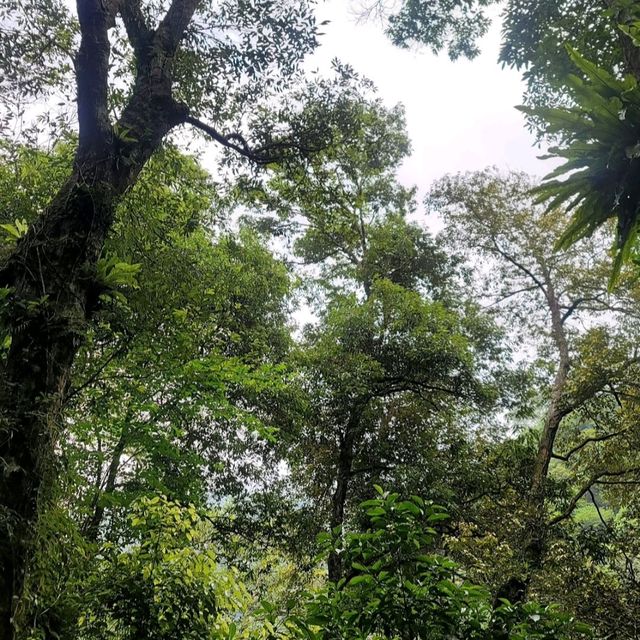 【台北】豐富的生態，以及壯觀的瀑布聞名。