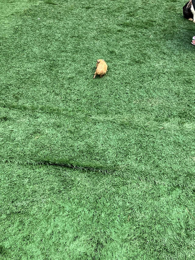 바탐에서 정말 재미있는 시간을 보낸 곳이에요