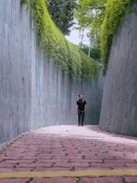 Fort Canning Tree Tunnel 📸🌿