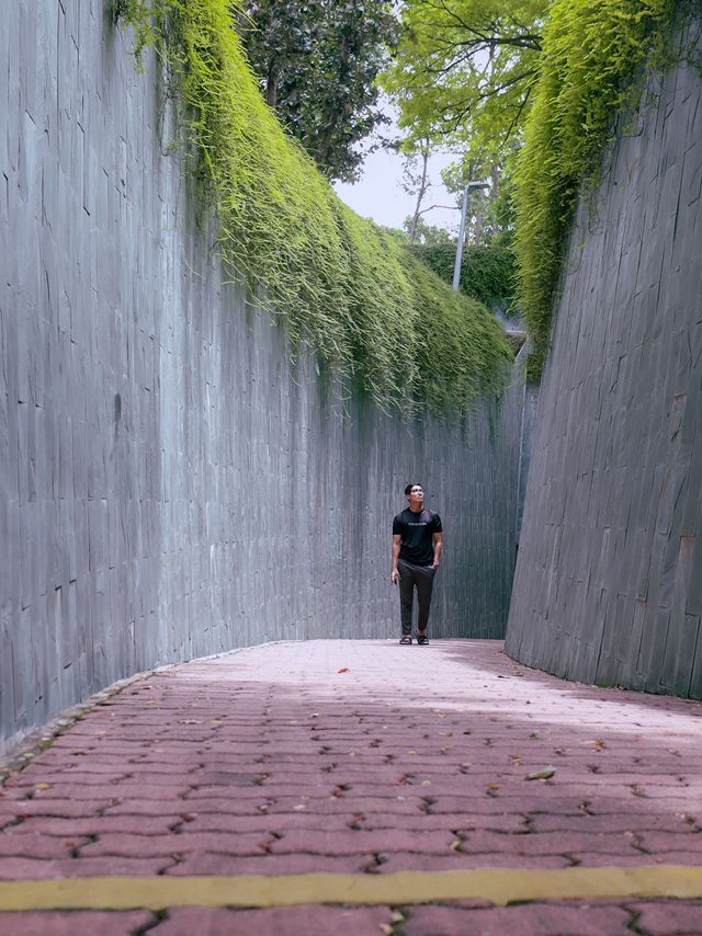 Fort Canning Tree Tunnel 📸🌿