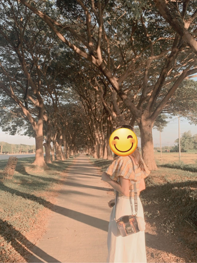 Visiting the path known as lover’s alley in Nay Pyi Taw