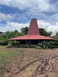 Welcome to Flores: Where Traditional Houses Tell a Story 🏡🌿 