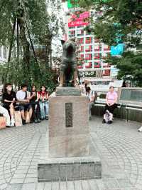 Shibuya Pulse: Crossing, Hachiko & Anime Dreams