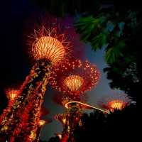 【新加坡旅遊】Supertree Grove🌳｜白天看感覺沒甚麼 晚上點燈卻超漂亮