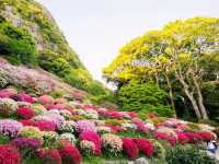 四季折々の絶景に感動✨御船山楽園で癒しのひととき