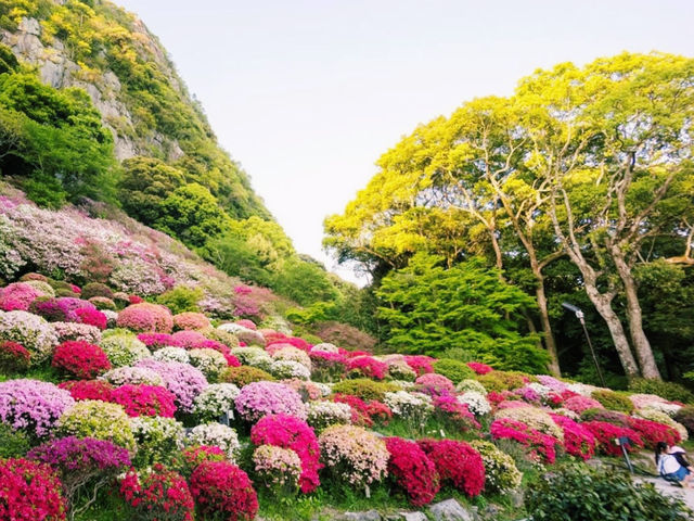 四季折々の絶景に感動✨御船山楽園で癒しのひととき