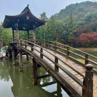 回遊式庭園 - 虎溪山永保寺