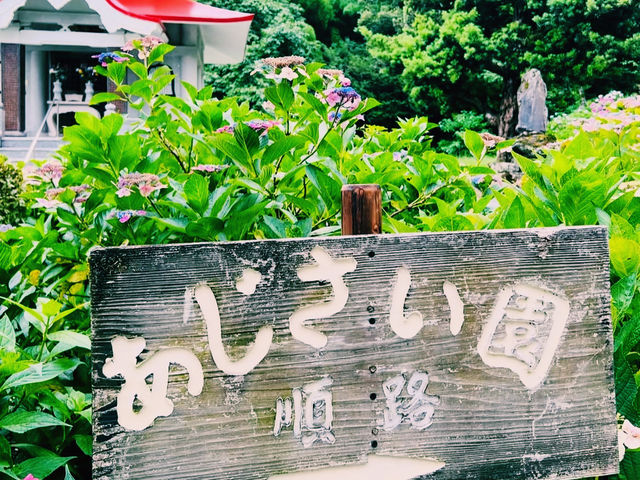 春にはツツジが満開！ 🌸