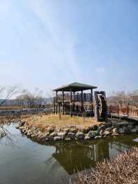 ❣️경기도 산책 데이트 하기좋은, "의왕왕송호수"❣️