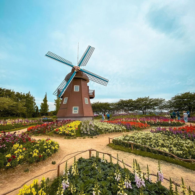 🌻SUNCHEON BAY NATIONAL GARDEN 🌺