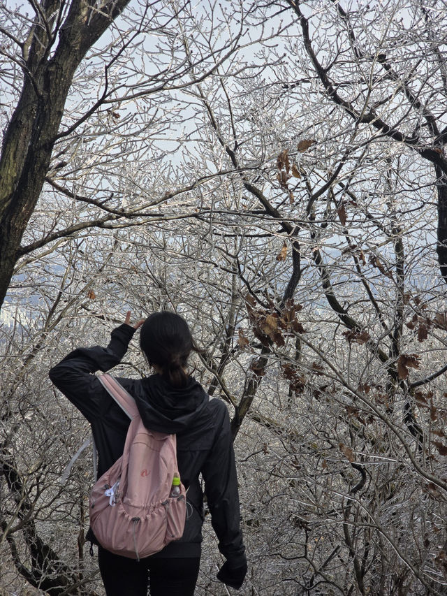 청계산 갔다가 겨울왕국 체험함…☃️🌿