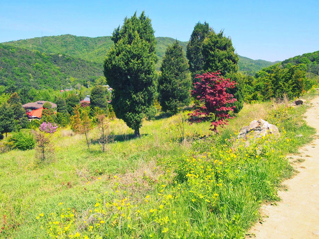 🌸따뜻한 날씨에 함께 걷고 운동하는 거 어때요? 북한산 둘레길 10구간