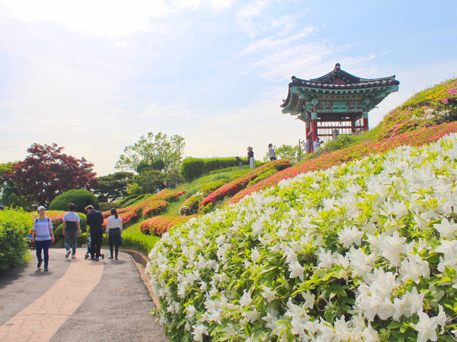 💛서울 근교 야외 데이트 장소 추천, 고양시 행주산성💛