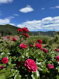 Breathtakingly beautiful day near Mount Fuji 