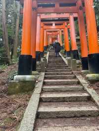 ⛩️穿越千本鳥居⛩️，探索伏見稻荷大社的神秘魅力🦊
