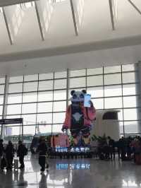 สนามบินนานาชาติเฉิงตู เทียนฟู่ (TFU) 
