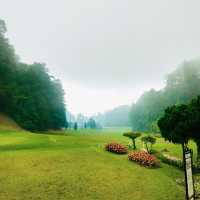Fraser’s Hill in Spring: Misty Paradise