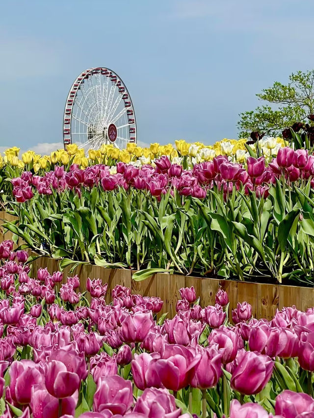 Spring Escape - Hiking and Relaxing at Tamar Park Hong Kong