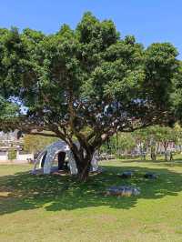 台中沙鹿鎮立公園公園旁的大型籃球場成為年輕人聚集的熱點