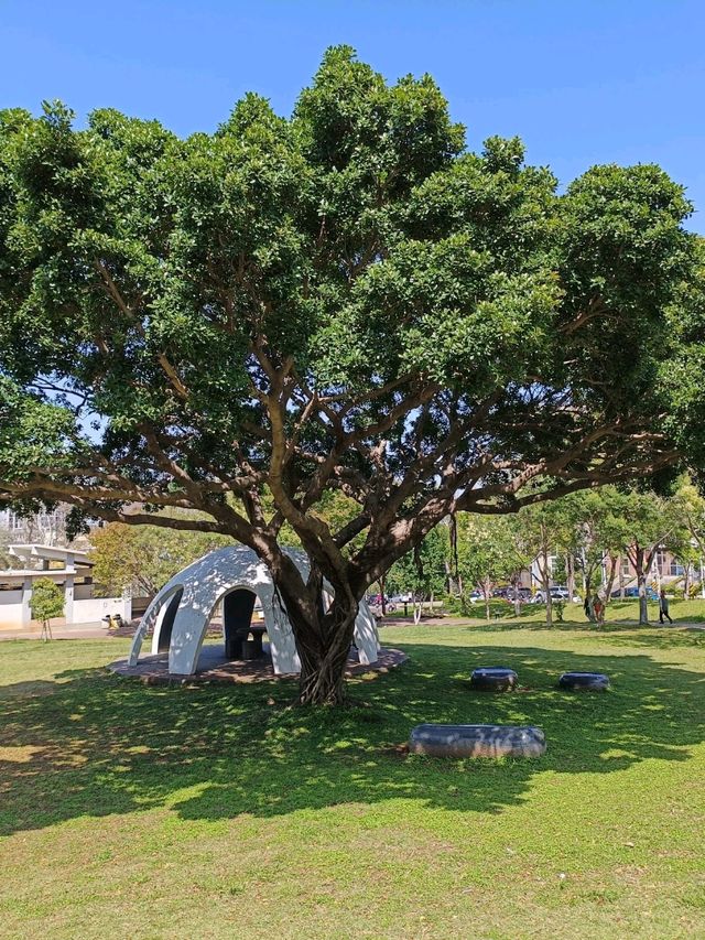 台中沙鹿鎮立公園公園旁的大型籃球場成為年輕人聚集的熱點