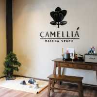 Camellia Matcha Space 🍵🌥️