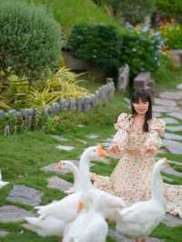 เที่ยวสวนผึ้งราชบุรี ที่ Alpacahill